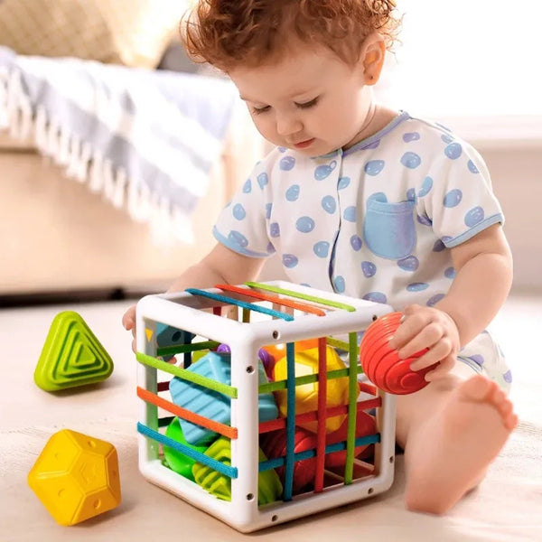 Baby Shape Sorter Cube Toy for Kids!