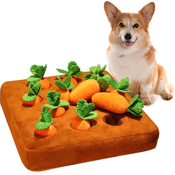 Pet Plush Food Toys