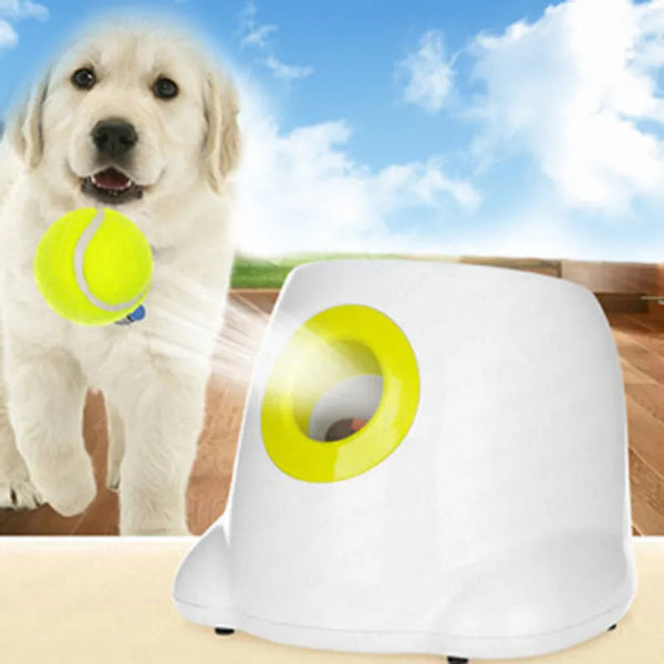 Pet Automatic Ball Launcher